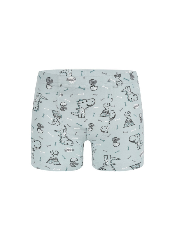 Donella 758118 Оптом Турция Фабрика Трусы Боксеры для Мальчиков Boxer (Ассорти) 10 шт/уп Donella 758118 Купить Оптом с Турции 2