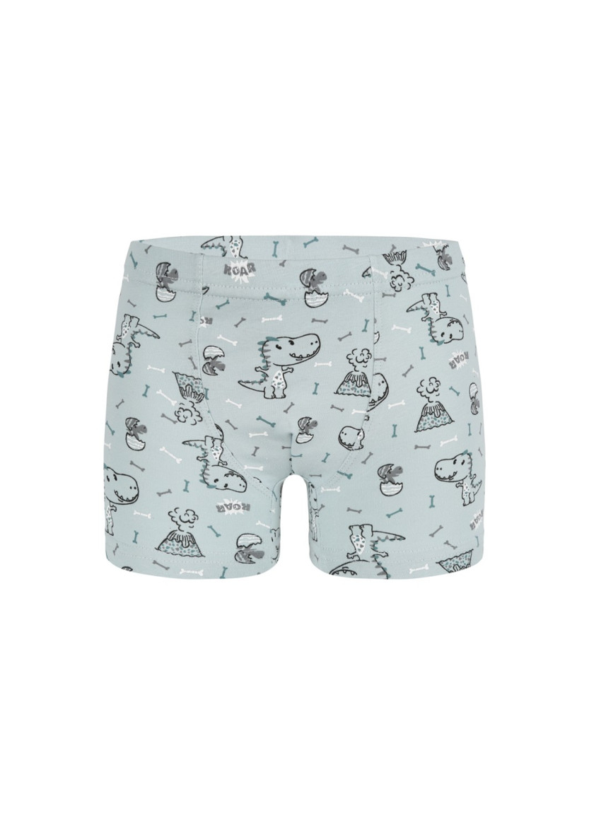 Трусы Боксеры для Мальчиков Boxer (Ассорти) 10 шт/уп Donella 758118 — оптовая поставка из Турции