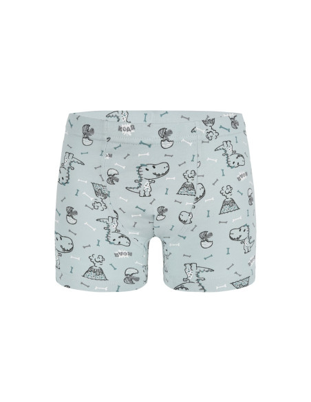 Трусы Боксеры для Мальчиков Boxer (Ассорти) 10 шт/уп Donella 758118 — оптовая поставка из Турции