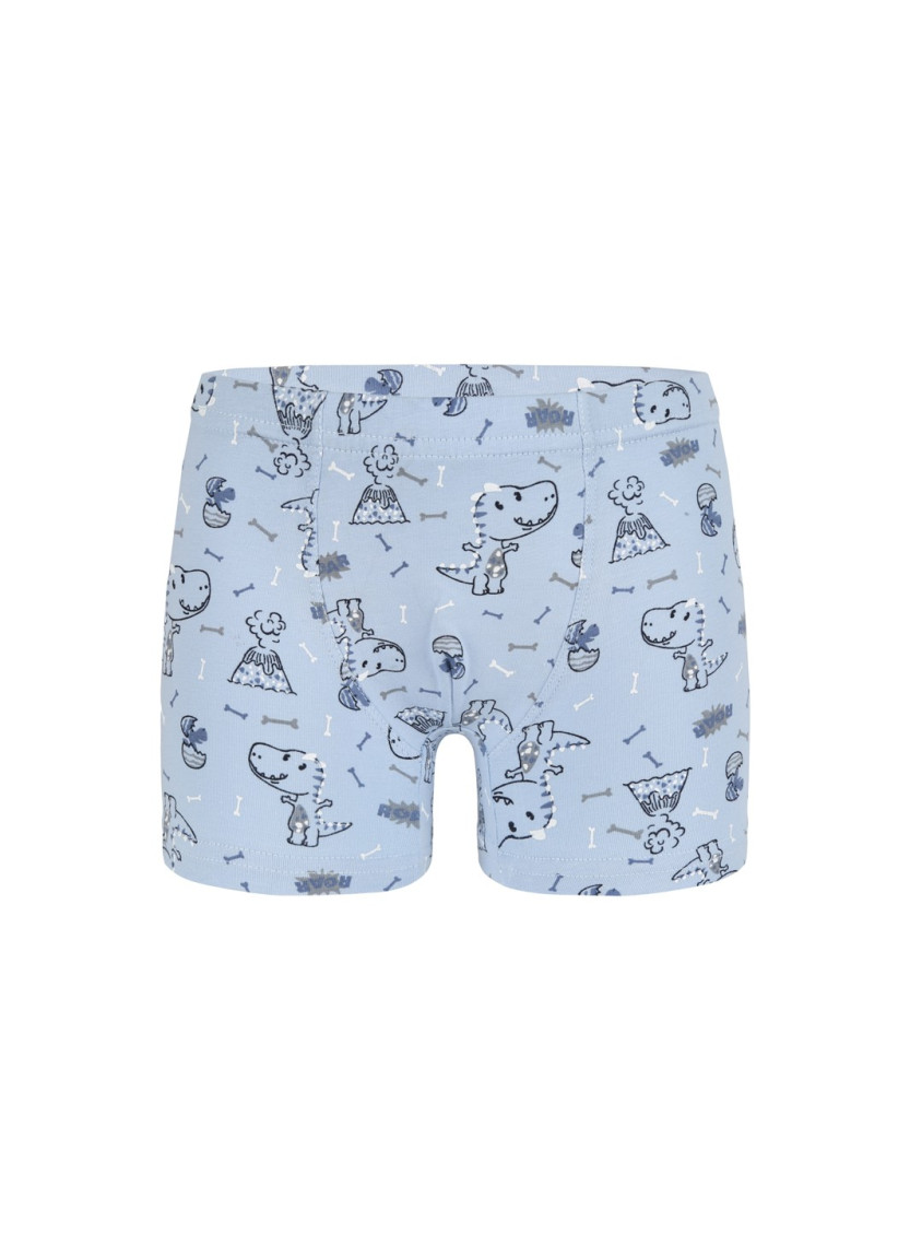 Трусы Боксеры для Мальчиков Boxer (Ассорти) 10 шт/уп Donella 758118 — турецкий текстиль оптом