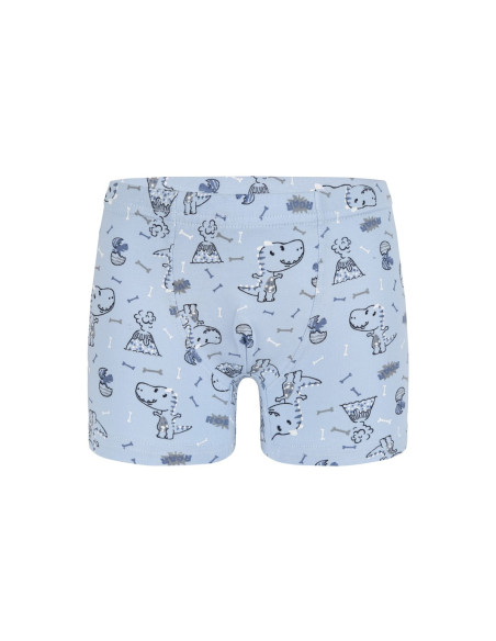 Трусы Боксеры для Мальчиков Boxer (Ассорти) 10 шт/уп Donella 758118 — турецкий текстиль оптом