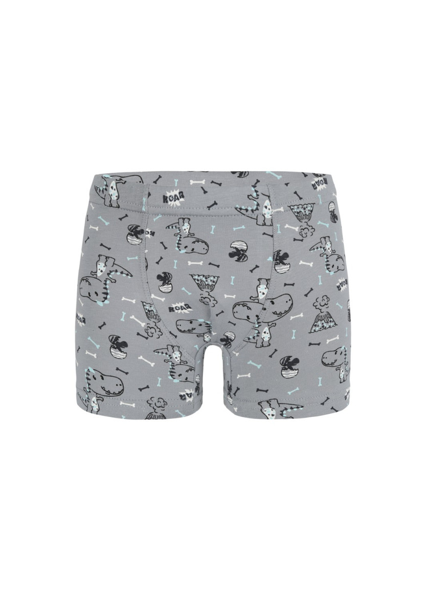 Трусы Боксеры для Мальчиков Boxer (Ассорти) 10 шт/уп Donella 758118 — оптом для магазинов и бутиков