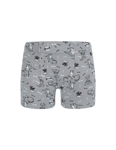 Трусы Боксеры для Мальчиков Boxer (Ассорти) 10 шт/уп Donella 758118 — оптом для магазинов и бутиков