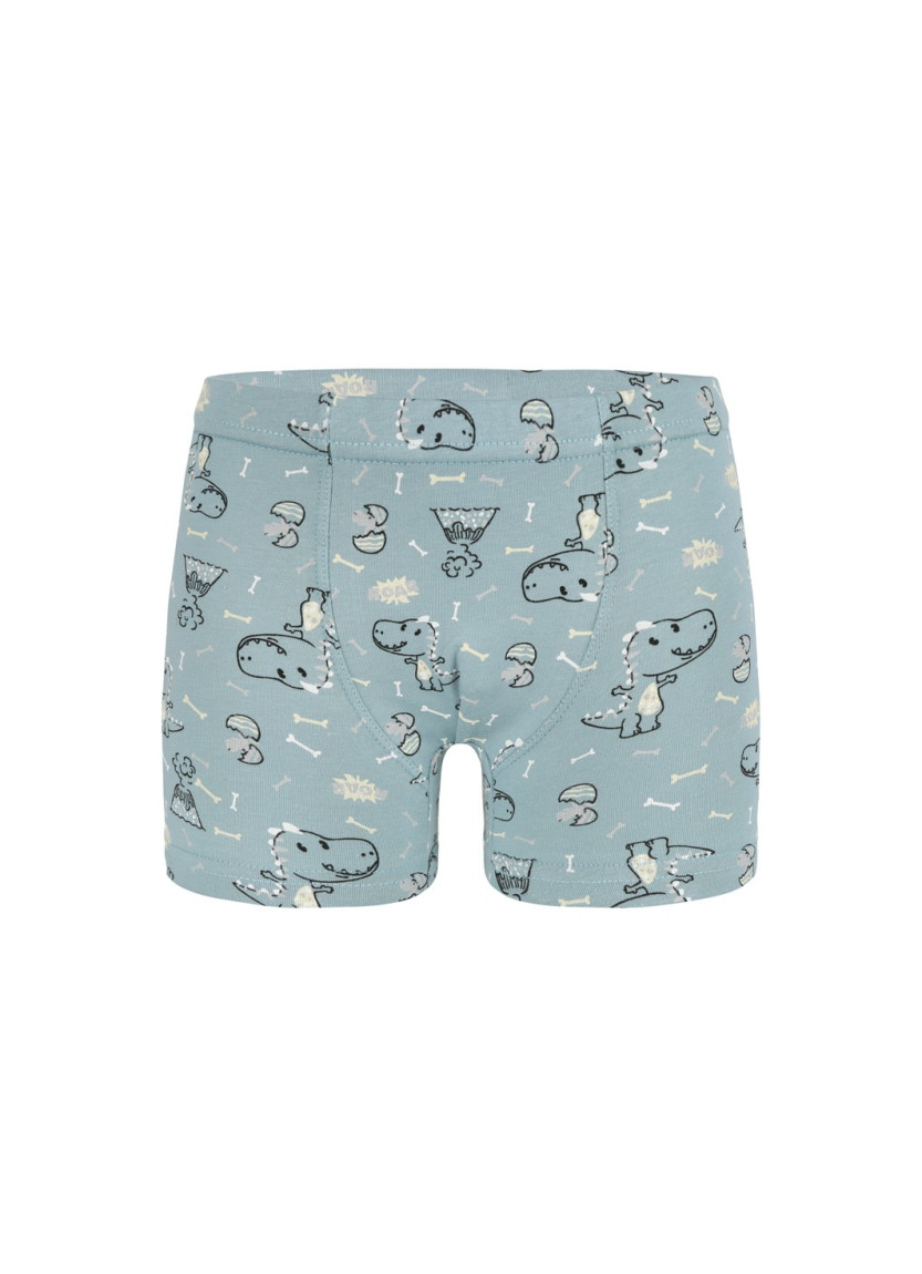 Трусы Боксеры для Мальчиков Boxer (Ассорти) 10 шт/уп Donella 758118 — купить оптом из Турции