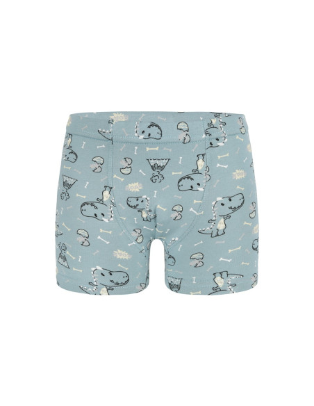 Трусы Боксеры для Мальчиков Boxer (Ассорти) 10 шт/уп Donella 758118 — купить оптом из Турции