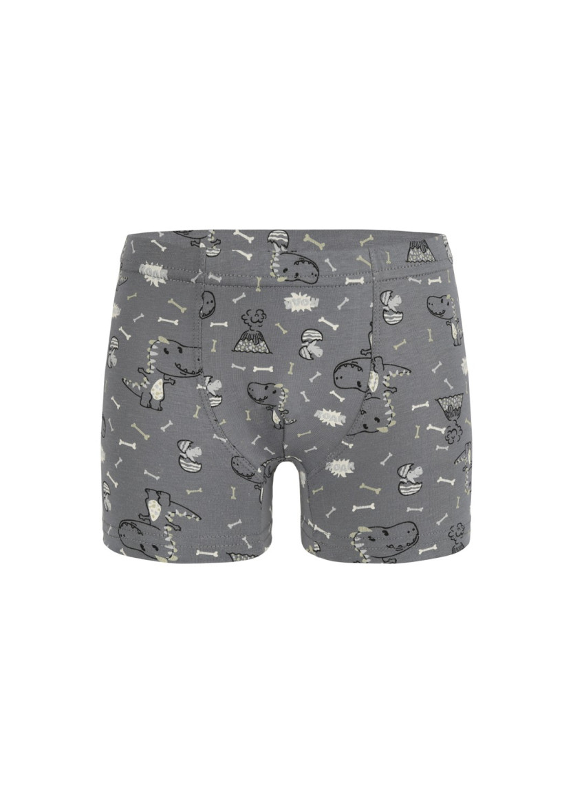 Трусы Боксеры для Мальчиков Boxer (Ассорти) 10 шт/уп Donella 758118 — оптовая поставка из Турции