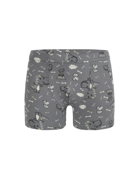 Трусы Боксеры для Мальчиков Boxer (Ассорти) 10 шт/уп Donella 758118 — оптовая поставка из Турции