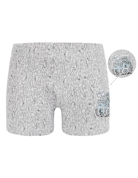Трусы Боксеры для Мальчиков Boxer (Ассорти) 10 шт/уп Donella Donella 7581B17 — турецкий текстиль оптом