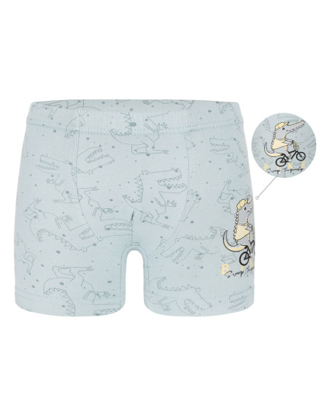Трусы Боксеры для Мальчиков Boxer (Ассорти) 10 шт/уп Donella 7581B19 — прямые поставки из Турции