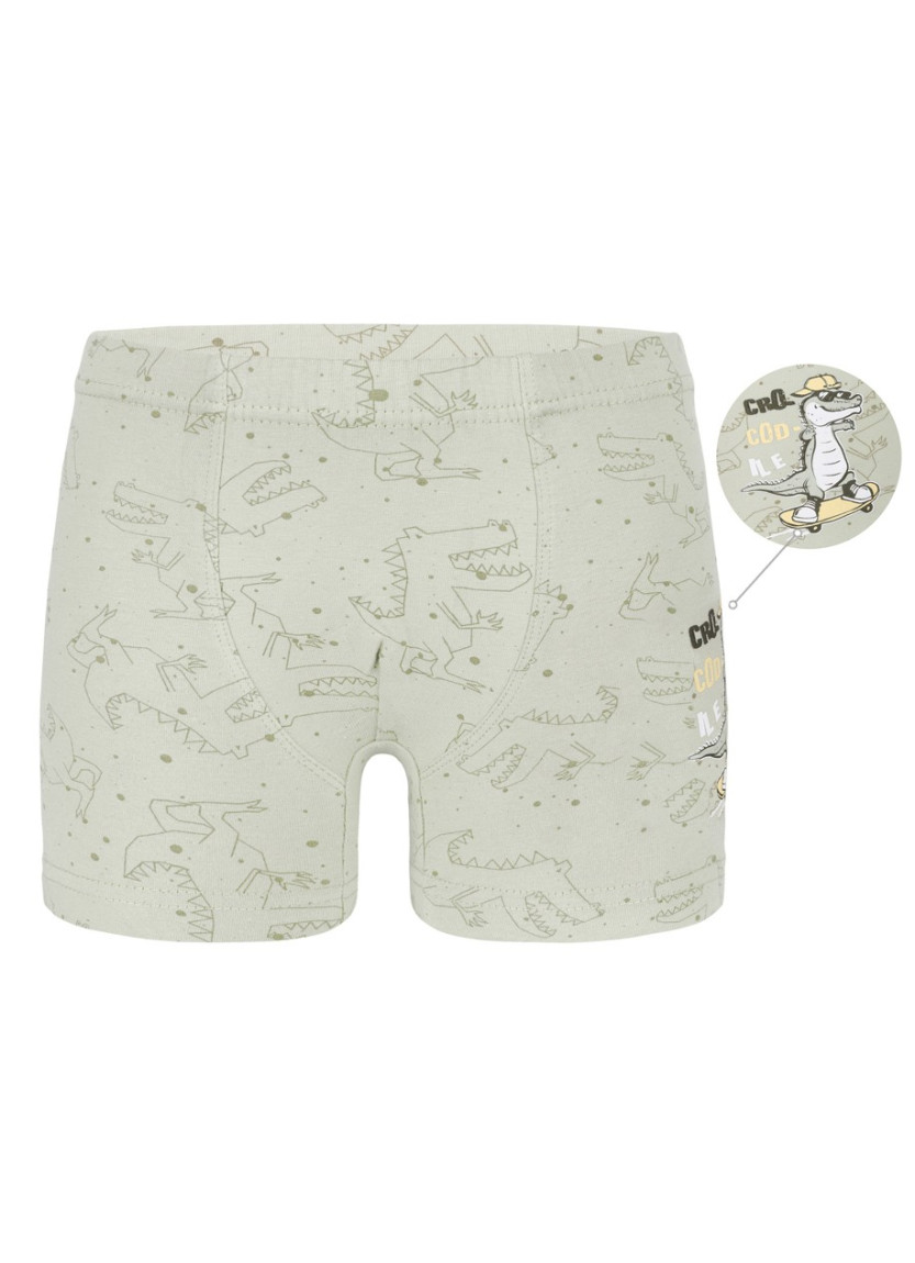 Трусы Боксеры для Мальчиков Boxer (Ассорти) 10 шт/уп Donella 7581B19 — оптом от турецкой фабрики
