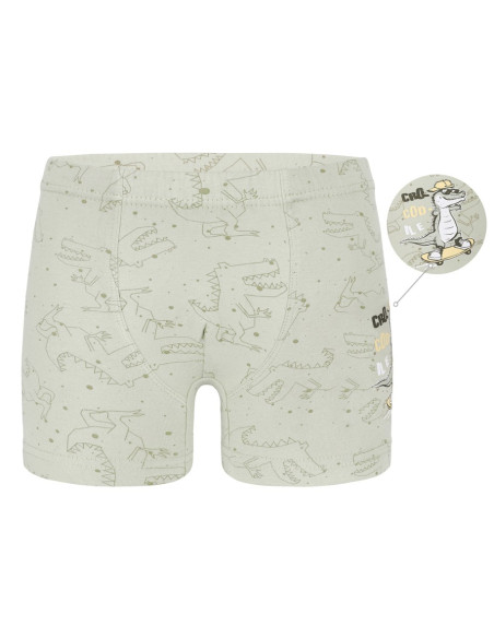 Трусы Боксеры для Мальчиков Boxer (Ассорти) 10 шт/уп Donella 7581B19 — оптом от турецкой фабрики