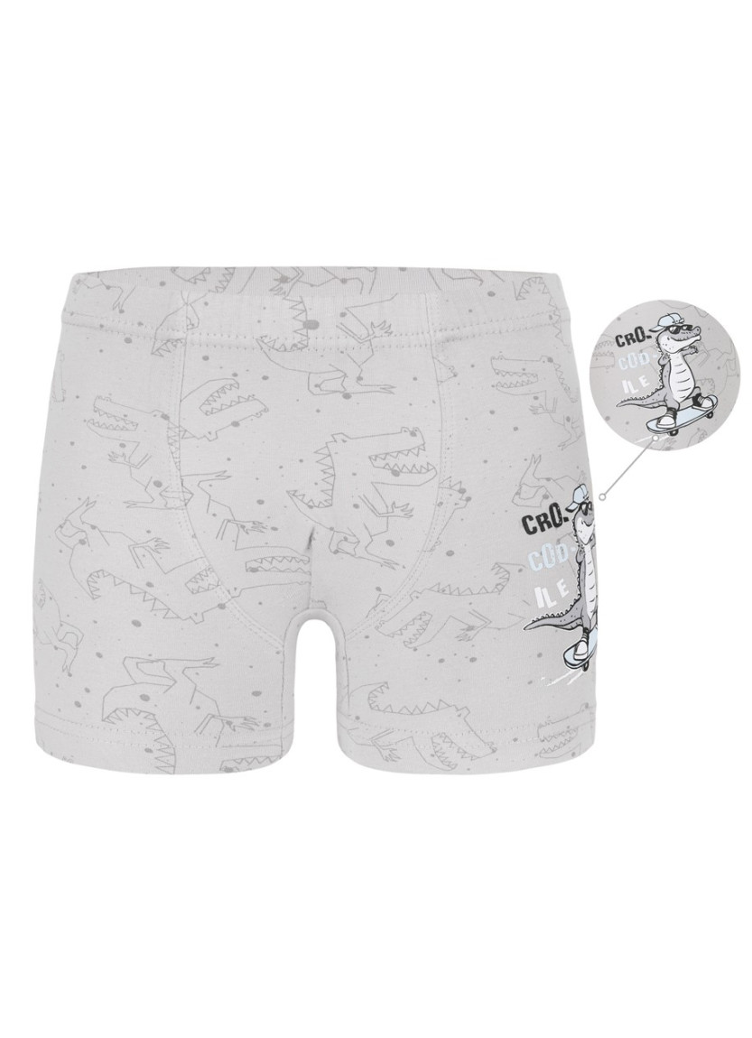 Donella 7581B19 Assorted 10-Pack Boys' Boxer Briefs — Istanbul wholesale supplier