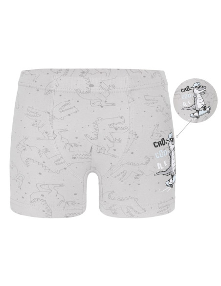 Трусы Боксеры для Мальчиков Boxer (Ассорти) 10 шт/уп Donella 7581B19 — купить оптом со Стамбула