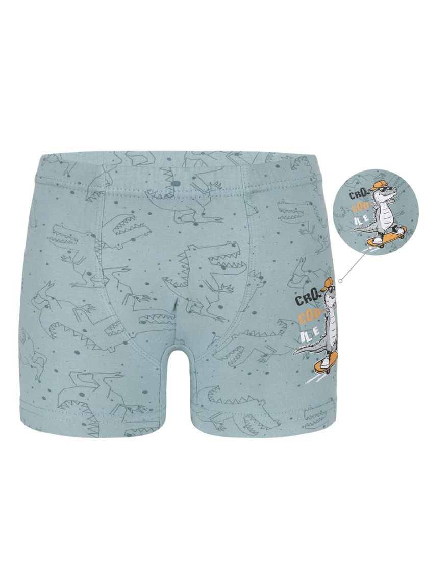Трусы Боксеры для Мальчиков Boxer (Ассорти) 10 шт/уп Donella 7581B19 — фабричная коллекция оптом