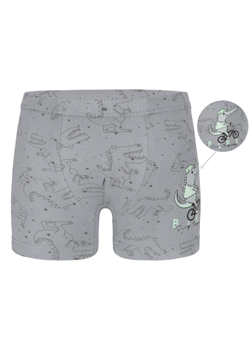 Трусы Боксеры для Мальчиков Boxer (Ассорти) 10 шт/уп Donella 7581B19 — прямые поставки из Турции