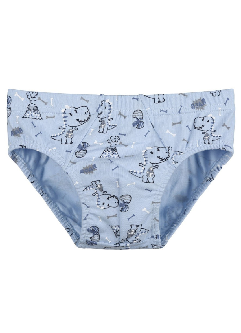 Donella 768118 Assorted 10-Pack Women's Briefs — Istanbul wholesale supplier