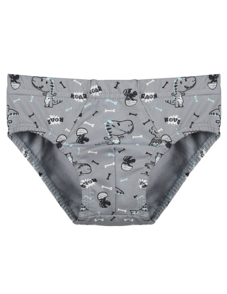 Donella 768118 Assorted 10-Pack Women's Briefs — wholesale for boutiques