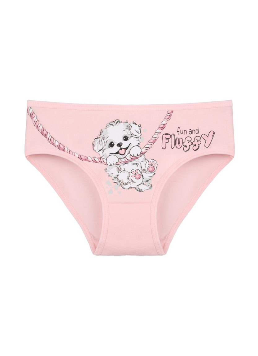 Donella 4171PB127 Assorted 10-Pack Girls' Briefs — direct Turkish factory supply