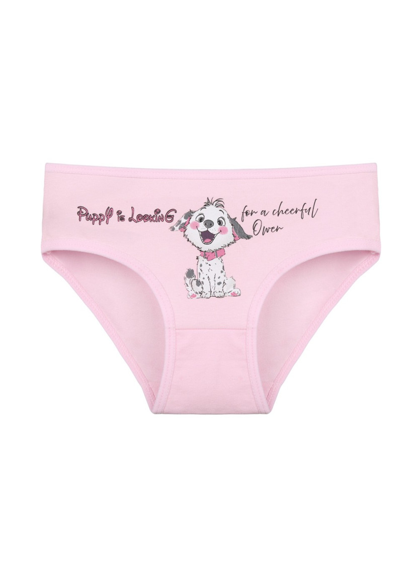 Donella 4171PB128 Assorted 10-Pack Girls' Briefs — Turkish factory wholesale