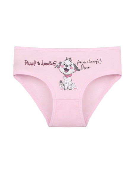 Donella 4171PB128 Assorted 10-Pack Girls' Briefs — Turkish factory wholesale