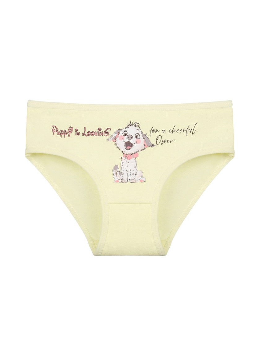 Donella 4171PB128 Assorted 10-Pack Girls' Briefs — Istanbul wholesale supplier