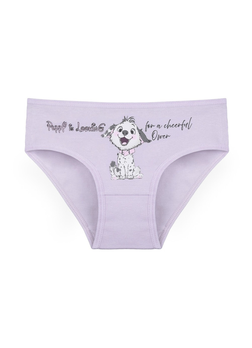 Donella 4171PB128 Assorted 10-Pack Girls' Briefs — wholesale for boutiques