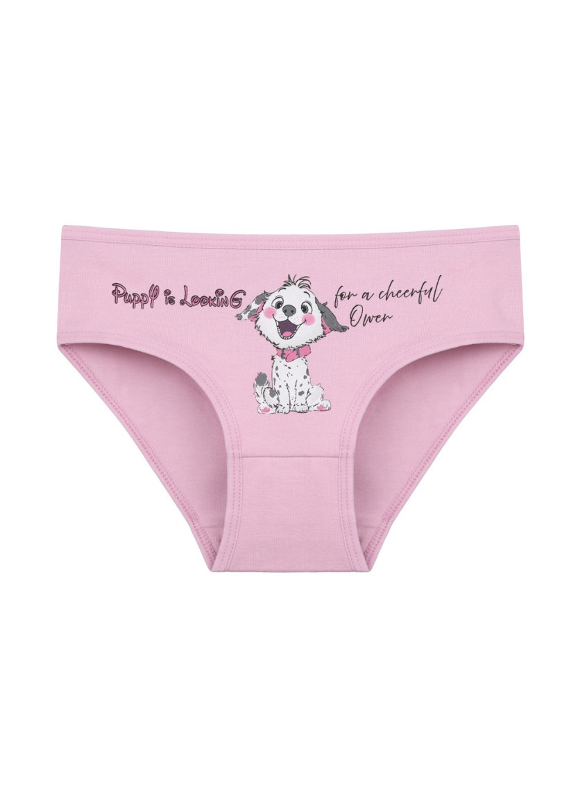 Donella 4171PB128 Assorted 10-Pack Girls' Briefs — Turkish factory wholesale