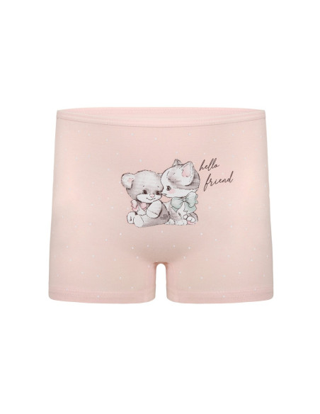 Donella 4281B35 Assorted 10-Pack Girls' Briefs — Turkish factory wholesale