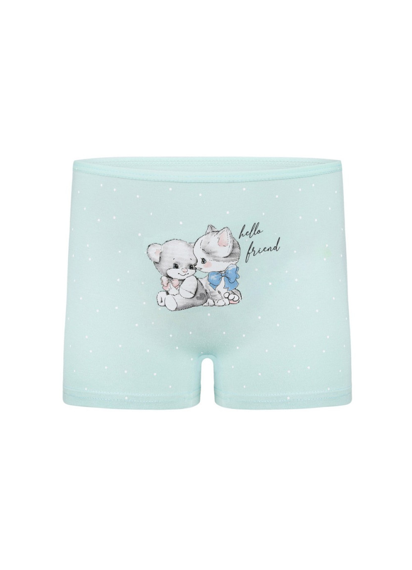 Donella 4281B35 Assorted 10-Pack Girls' Briefs — Istanbul wholesale supplier