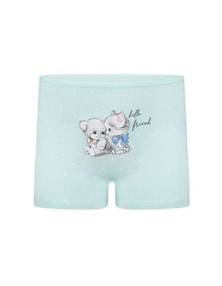 Donella 4281B35 Assorted 10-Pack Girls' Briefs — Istanbul wholesale supplier