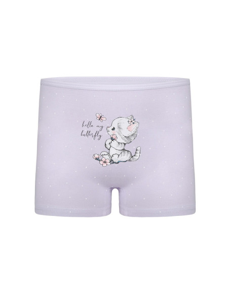 Donella 4281B35 Assorted 10-Pack Girls' Briefs — wholesale for boutiques