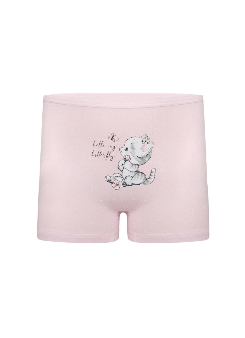 Donella 4281B35 Assorted 10-Pack Girls' Briefs — Turkish factory wholesale