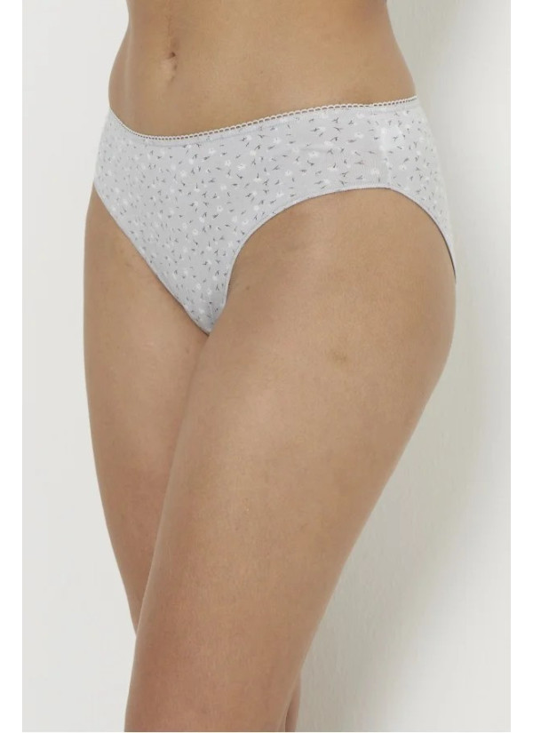 Sevim 13778 Gri 3-Pack Women's Briefs — Istanbul wholesale supplier 2