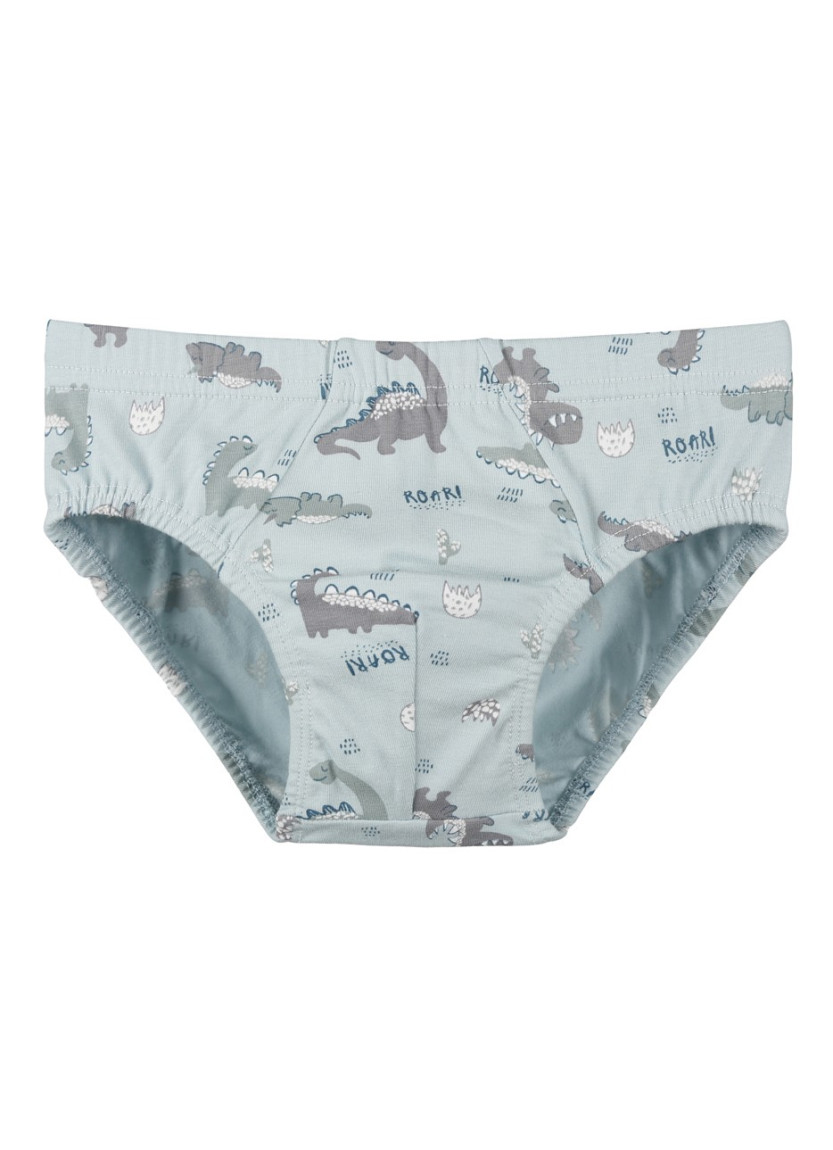 Donella 768126 Assorted 10-Pack Women's Briefs — direct Turkish factory supply