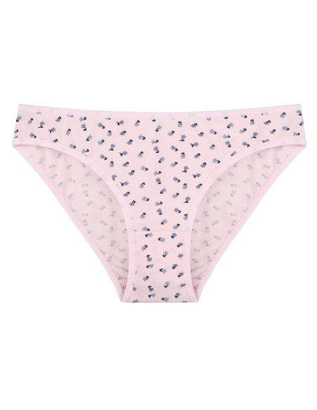 Donella 218138 Assorted 10-Pack Women's Briefs — wholesale from Turkey