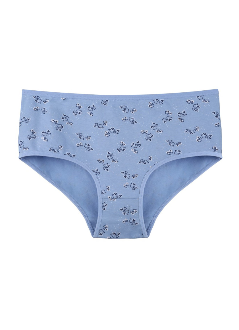 Donella 258134 Assorted 10-Pack Women's Briefs — wholesale for boutiques