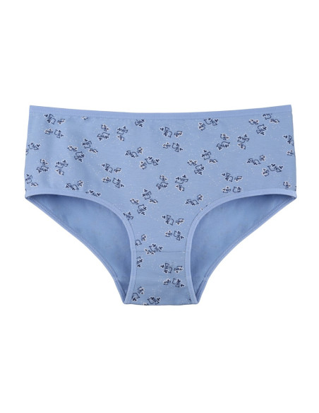 Donella 258134 Assorted 10-Pack Women's Briefs — wholesale for boutiques