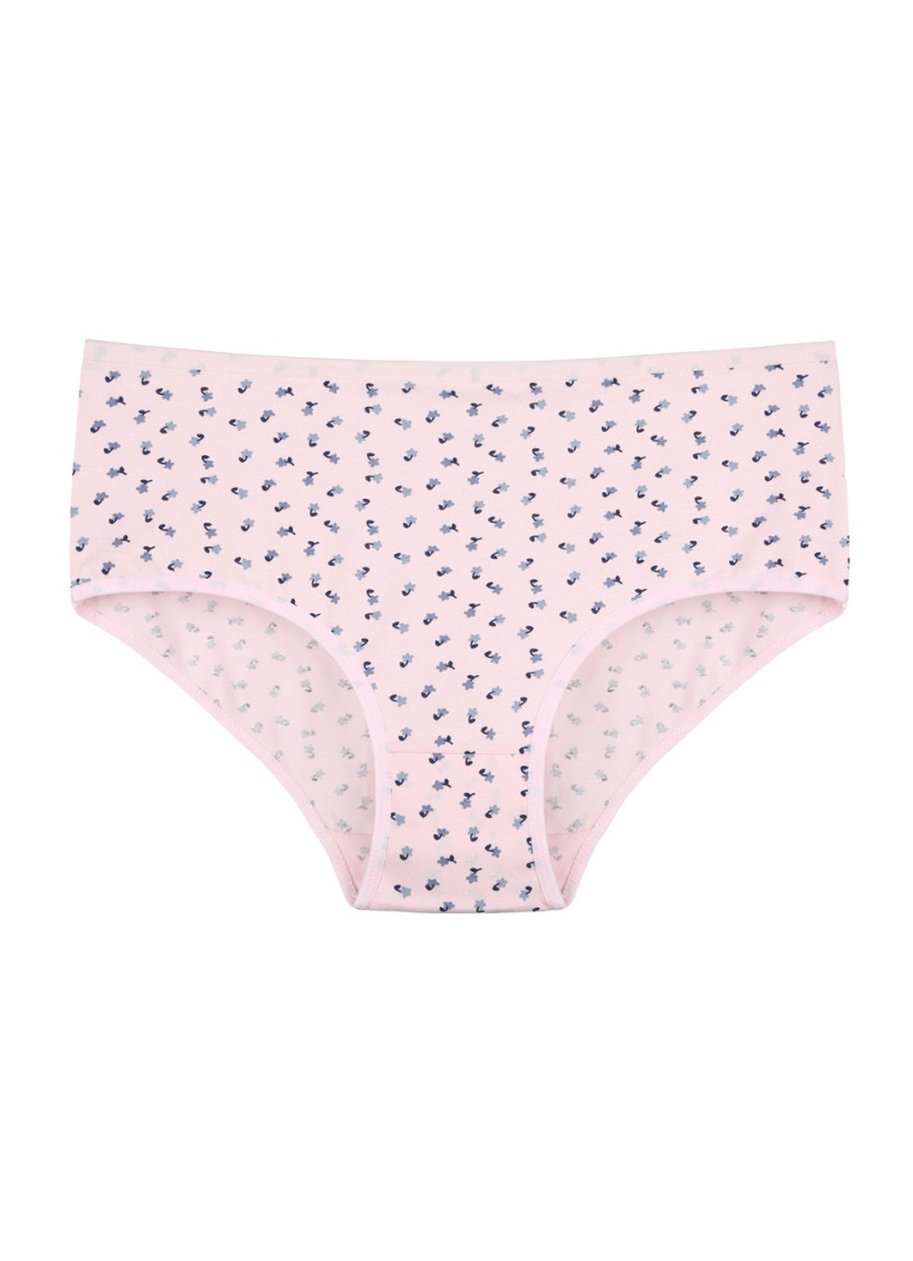 Donella 258138 Assorted 10-Pack Women's Briefs — direct Turkish factory supply
