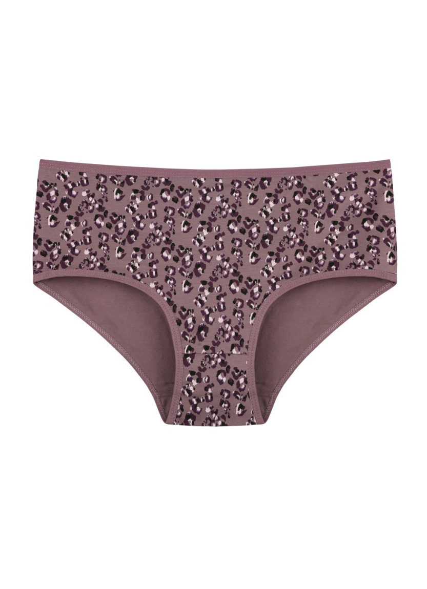 Donella 258140 Assorted 10-Pack Women's Briefs — Istanbul wholesale supplier