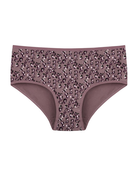 Donella 258140 Assorted 10-Pack Women's Briefs — Istanbul wholesale supplier