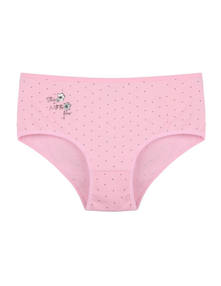 Donella 2581B45 Assorted 10-Pack Women's Briefs — wholesale for boutiques