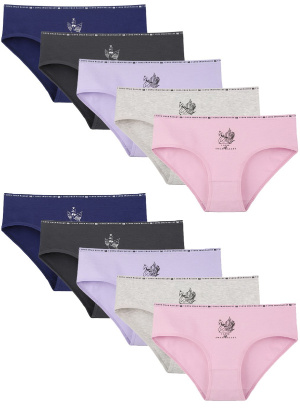 Donella 3171PB200 Assorted 10-Pack Women's Briefs — wholesale for boutiques