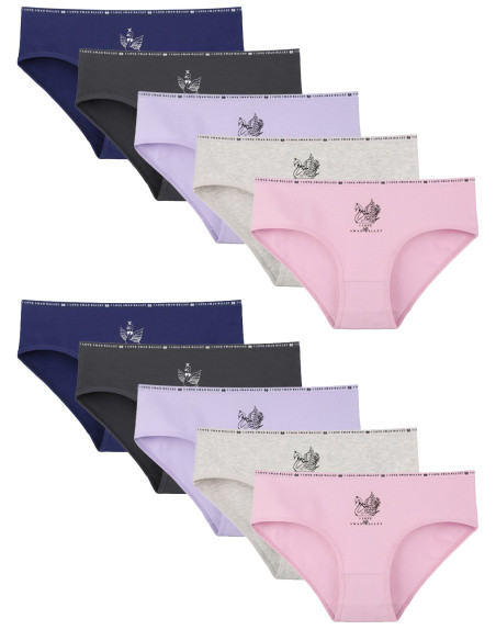 Donella 3171PB200 Assorted 10-Pack Women's Briefs — wholesale for boutiques
