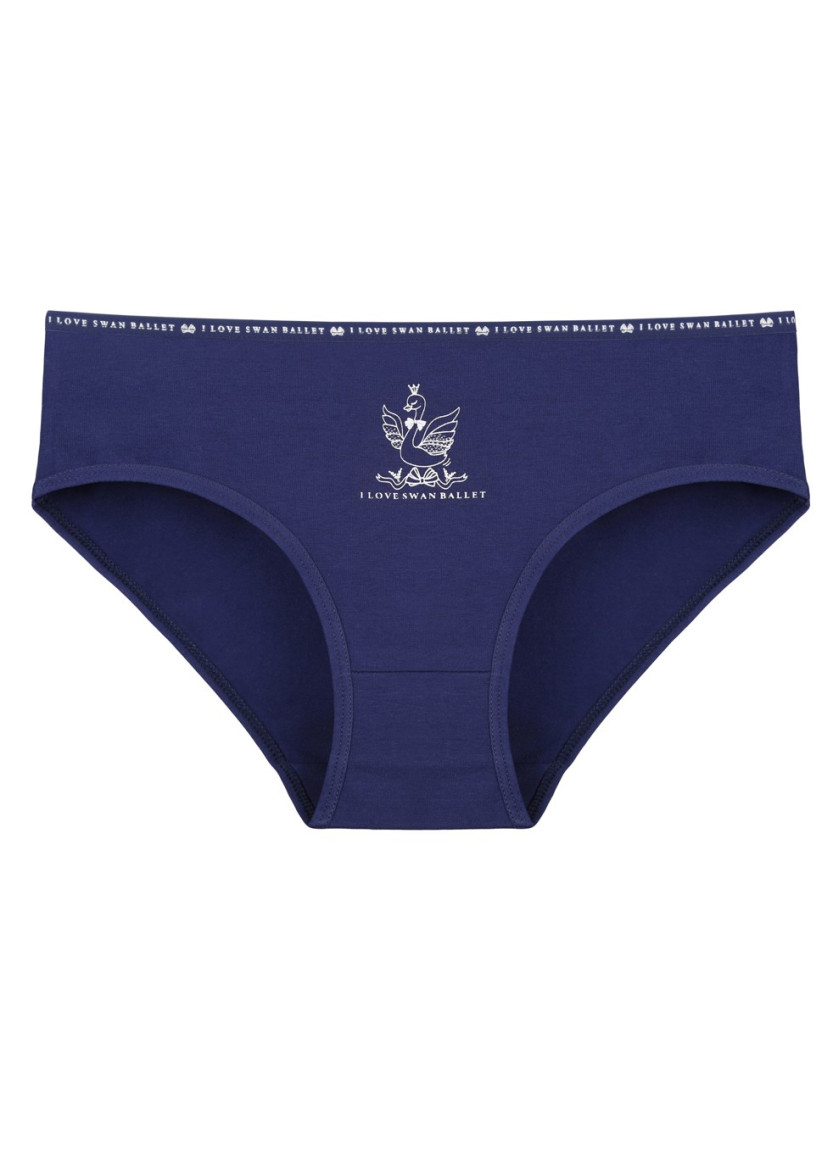 Donella 3171PB200 Assorted 10-Pack Women's Briefs — wholesale for boutiques