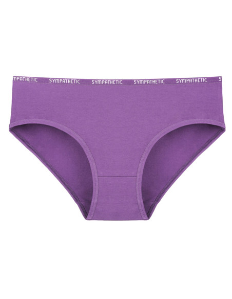 Donella 3171PD14 Assorted 10-Pack Women's Briefs — Turkish textile wholesale