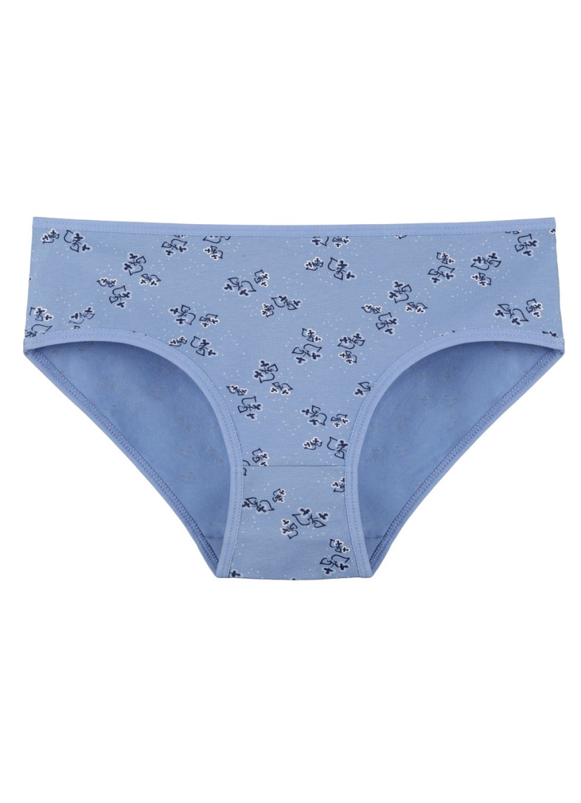 Donella 318134 Assorted 10-Pack Women's Briefs — wholesale for boutiques