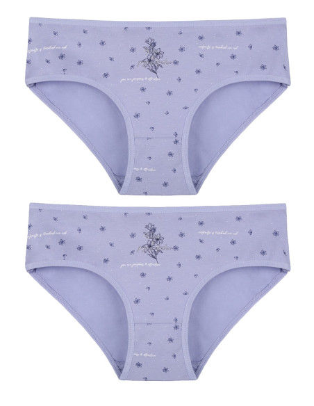 Donella 3181B44 Assorted 10-Pack Women's Briefs — wholesale for boutiques