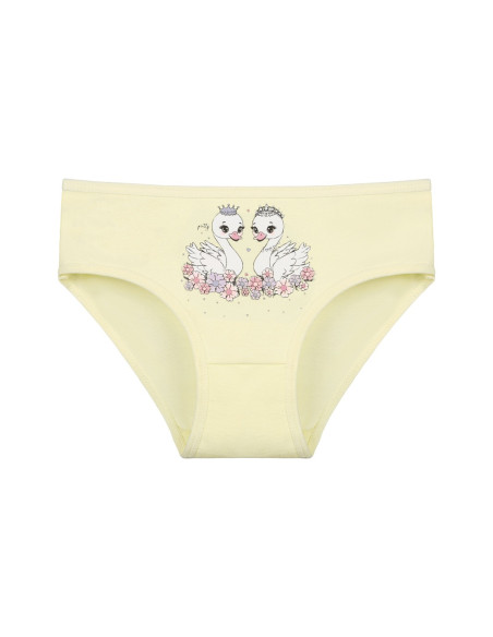 Donella 4171PB102 Assorted 10-Pack Girls' Briefs — wholesale for boutiques