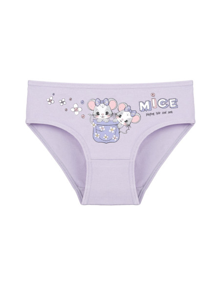 Donella 4171PB136 Assorted 10-Pack Girls' Briefs — Istanbul wholesale supplier