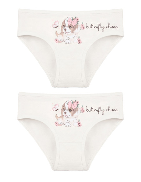 Donella 4171PB144 Assorted 10-Pack Girls' Briefs — Turkey wholesale collection